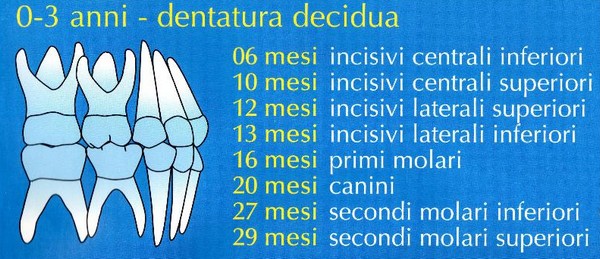 brogi la crescita dei denti di latte decidua