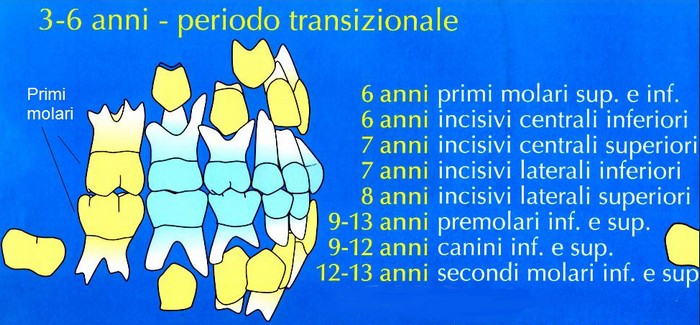 brogi la crescita dei denti periodo transazionale